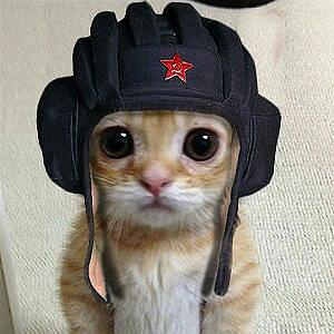 КОТ 2.jpg